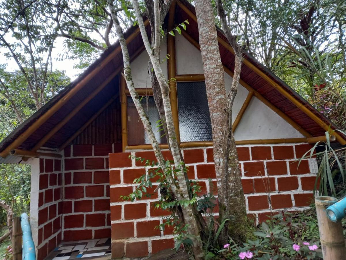 Eco Hotel Manu Viajeros San Agustin  Exterior photo